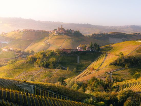 バローロのブドウ畑＋ユネスコ世界遺産のワイン大聖堂見学1日ツアー＜4～10月＞