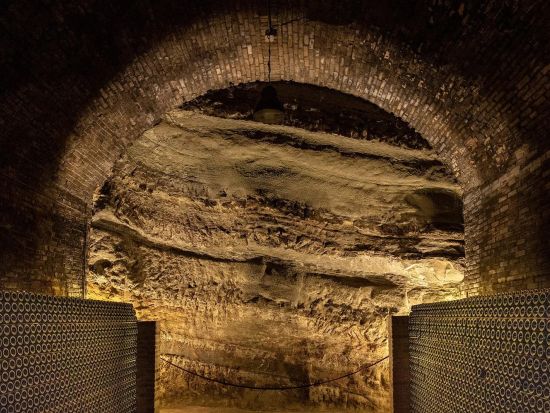 バローロのブドウ畑＋ユネスコ世界遺産のワイン大聖堂見学1日ツアー＜4～10月＞