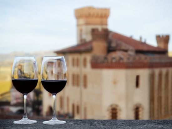 バローロのブドウ畑＋ユネスコ世界遺産のワイン大聖堂見学1日ツアー＜4～10月＞