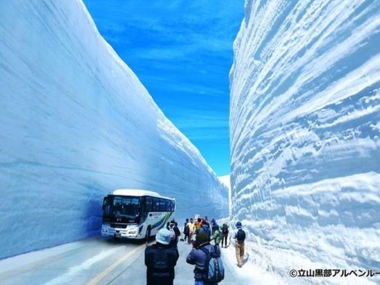 金沢発 立山黒部雪の大谷2026 日帰りバスツアー＜4～5月／英語ガイド付き＞
