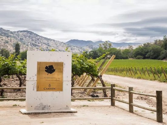 tour-a-vina-santa-rita-desde-san (2)