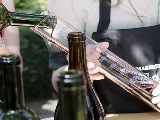 tour-a-vina-santa-rita-desde-san (1)