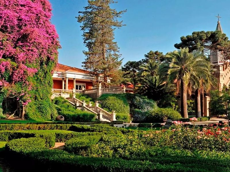 tour-a-vina-santa-rita-desde-san