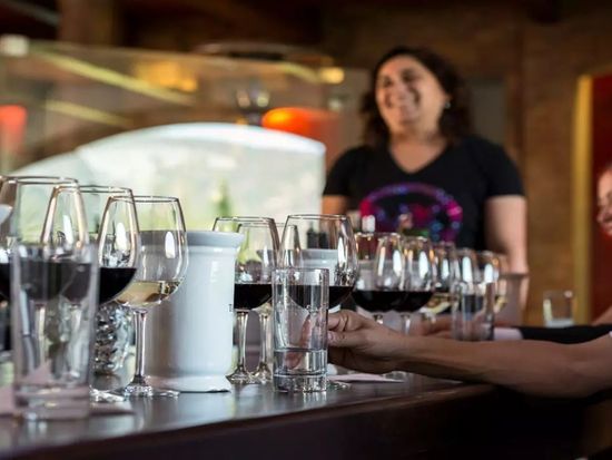 vina-santa-rita-desde-santiago_2 (1)