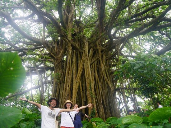 喜界島ベーシック観光ガイドツアー 1日1組限定で巡る奄美で唯一のジオパーク絶景満喫プラン＜送迎付き／半日・1日＞