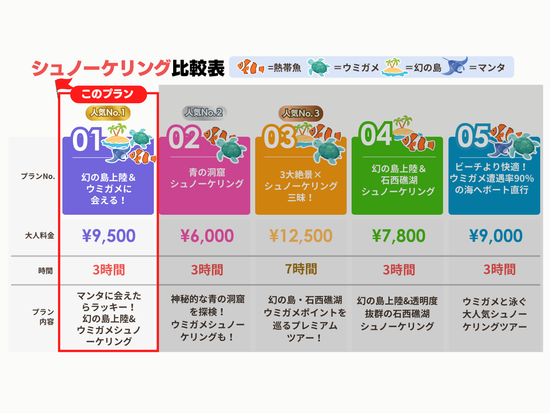 幻の島上陸＆ウミガメ or マンタシュノーケリング  半日で人気スポットを巡れる◎GoProレンタルあり＜約3時間／送迎付／石垣島＞の写真2