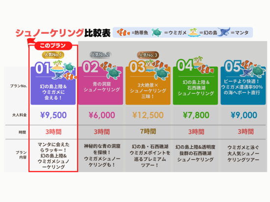 幻の島上陸＆ウミガメ or マンタシュノーケリング  半日で人気スポットを巡れる◎GoProレンタルあり＜約3時間／送迎付／石垣島＞