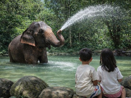 A refreshing family day outdoors.