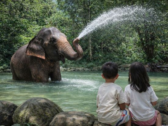 カオラック 1日観光ツアー　ラフティング＆象の水浴び＆ウミガメセンター ＜昼食付き／英語ガイド＞
