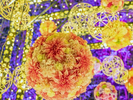 かぐや姫の光る庭 月に咲く光の桜 月夜に広がる幻想竹あかり体験＜夜／サクラマチガーデン＞