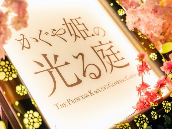 かぐや姫の光る庭 月に咲く光の桜 月夜に広がる幻想竹あかり体験＜夜／サクラマチガーデン＞