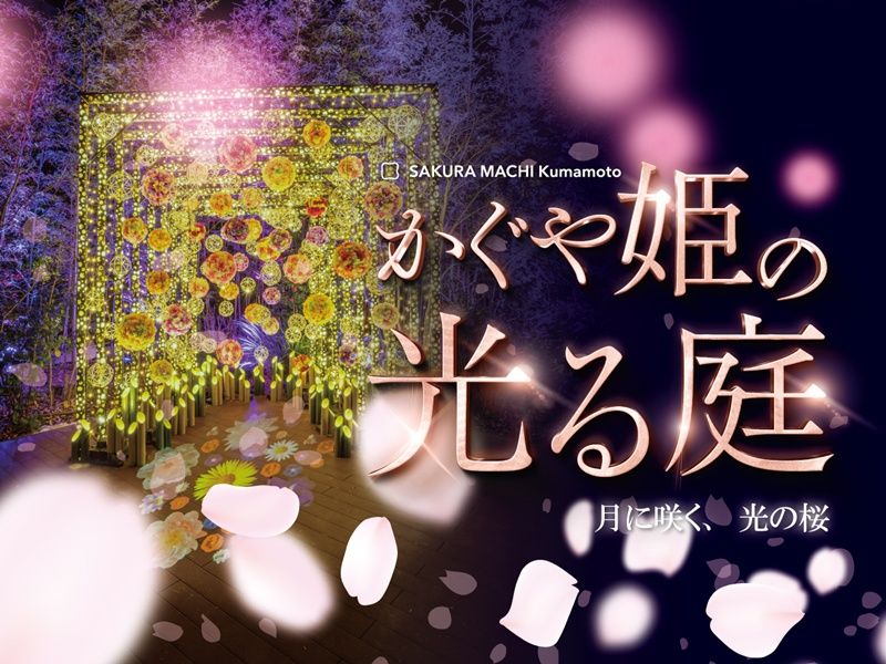 竹あかり3サムネ