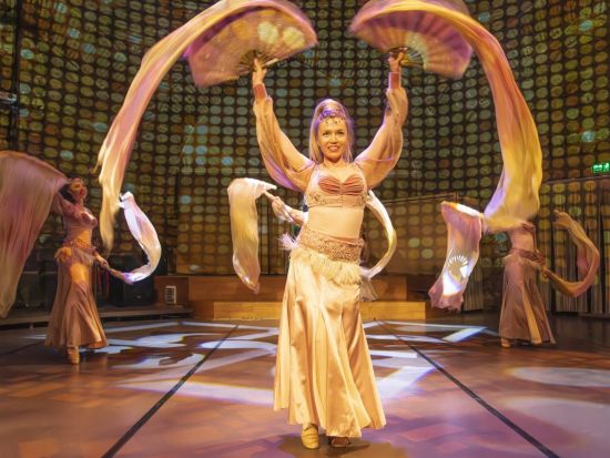 トルコ舞踊ショー「Rhythm of the Dance」鑑賞チケット　Hodjapasha文化施設で華麗な伝統のトルコ舞踊を堪能！＜イスタンブール／約1時間＞