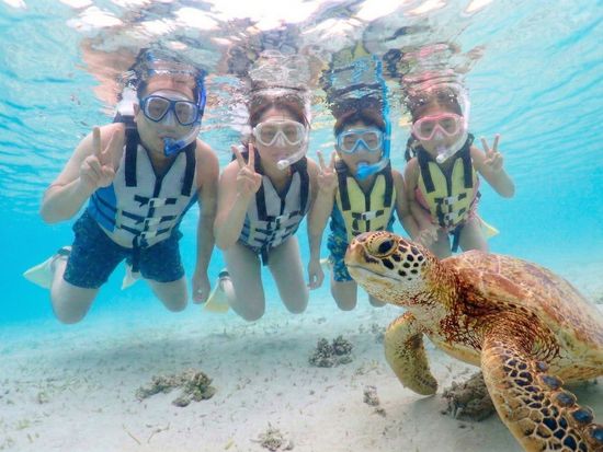 Gemini_Generated_Image_jj7snmjj7snmjj7s 2