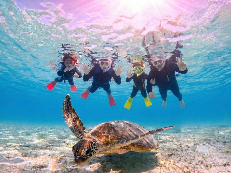 Gemini_Generated_Image_9izyxi9izyxi9izy 2