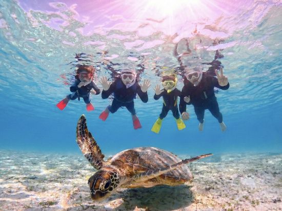 宮古島シュノーケル【当日予約OK・写真無料】学生＆ファミリー春休み・GW大歓迎！