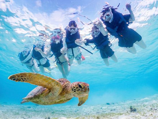 Gemini_Generated_Image_kgll21kgll21kgll