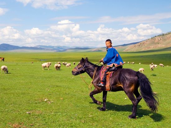 テレルジ国立公園日帰りツアー　乗馬体験＆遊牧民文化を満喫！プライベートツアー ＜軽食付き／日本語ガイド／ウランバートル発＞