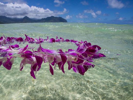 captain_bruce_ash_scattering02