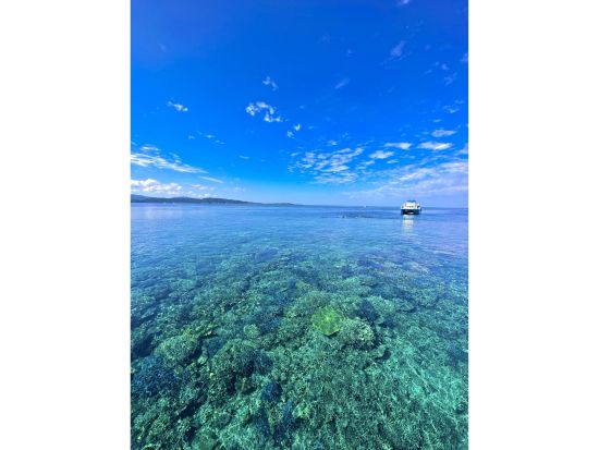 バラス島上陸＆鳩間ブルーシュノーケリングツアー 八重山トップクラス透明度の海を満喫◎＜約5時間／一人参加可／石垣島＞