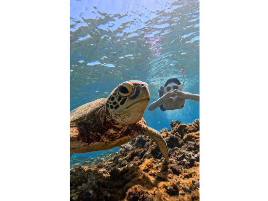 バラス島上陸＆鳩間ブルーシュノーケリングツアー 八重山トップクラス透明度の海を満喫◎＜約5時間／一人参加可／石垣島＞