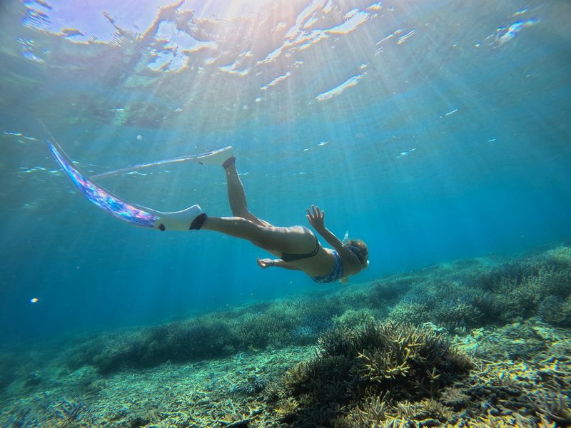 鳩間島×バラス島シュノーケル