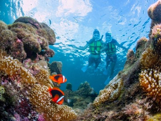 宮古ブルー満喫！ウミガメ×お魚サンゴの2ポイント周遊ツアー＜再チャレンジ無料保証／写真付き／1日／宮古島＞