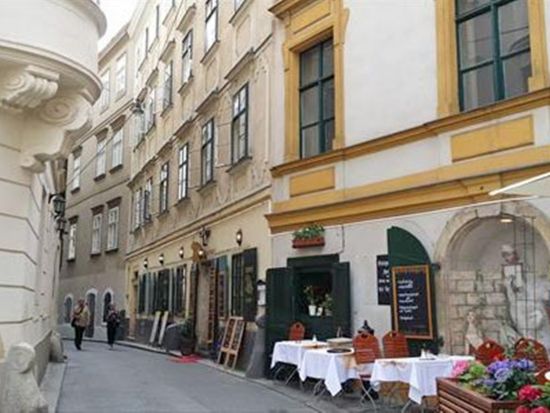 ウィーン旧市街ウォーキングツアー　現地在住のガイドがご案内！中世の雰囲気残る街角8選を巡る街歩き＜貸切／2時間／日本語ガイド＞