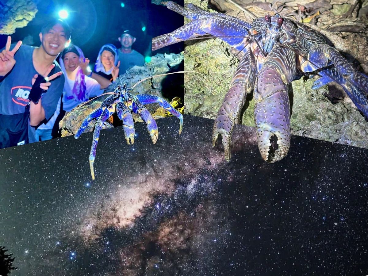 星空＆ナイトジャングル ヤシガニ遭遇率99.99%＆満天の星を観察！夜に