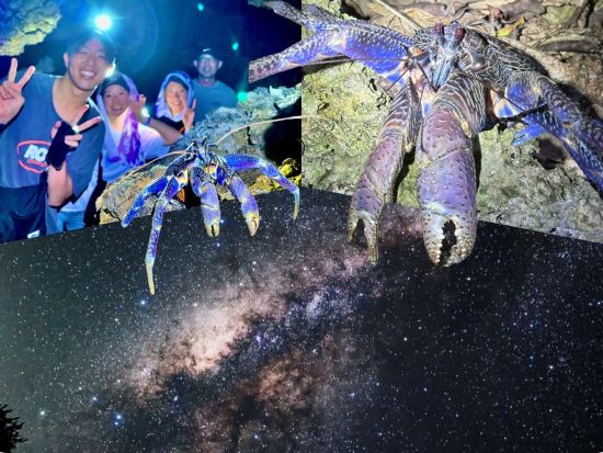 星空＆ナイトジャングルツアー ヤシガニ遭遇率99.99%＆満天の星を観察！夜にしか出会えない景色と生き物を探しに行こう！＜約2時間／0~90歳／石垣島＞
