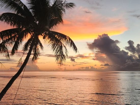 WhatsApp Image 2025-08-09 at 20_original.17.39 (2)