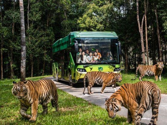 フーコック島北部自然探索ツアー　サファリパーク＋真珠養殖＋スターフィッシュビーチで絶景と文化体験＜1日／英語ガイド／昼食付き＞