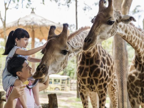 フーコック島北部自然探索ツアー　サファリパーク＋真珠養殖＋スターフィッシュビーチで絶景と文化体験＜1日／英語ガイド／昼食付き＞