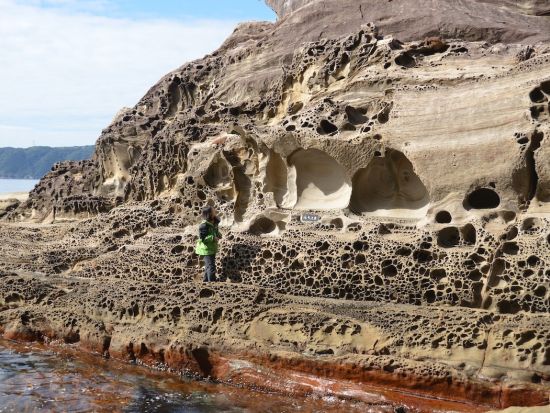 竜串観光汽船 グラスボート 乗船Eチケット 揺れにくい大型船で楽しむ海底散歩＜30分／土佐＞