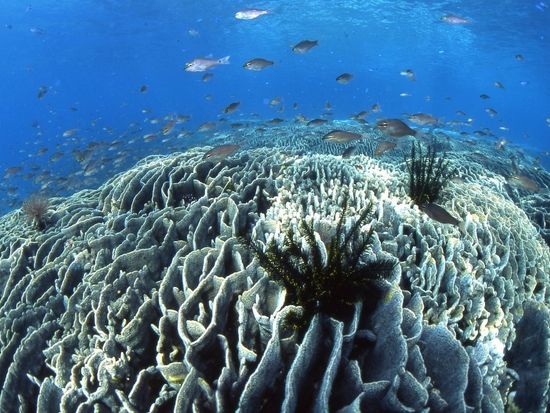 JMF8F_7869c5f2-d123-469e-aa9b-d3