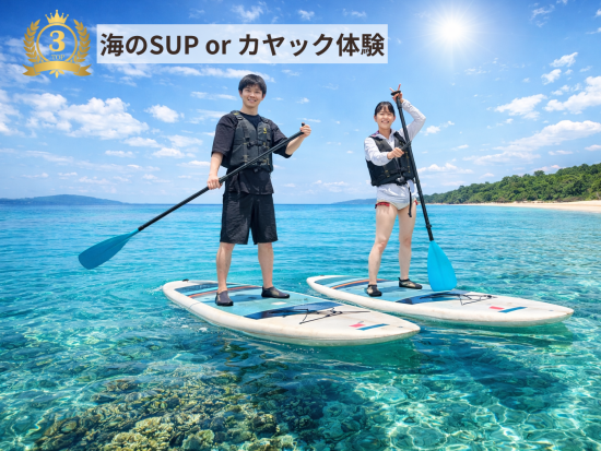 6種類のアクティビティが遊び放題！シュノーケルやSUP、カヤックなどから選べる充実プラン＜石垣島／1日または半日／5〜65歳＞ by アクティビティパーク石垣島