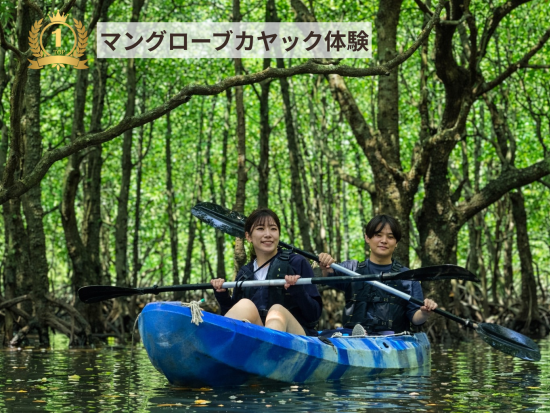 6種類のアクティビティが遊び放題！シュノーケルやSUP、カヤックなどから選べる充実プラン＜石垣島／1日または半日／5〜65歳＞ by アクティビティパーク石垣島