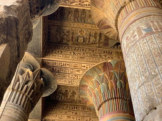 342e9de1-f375-4aaa-b983-fd2c61e97d19