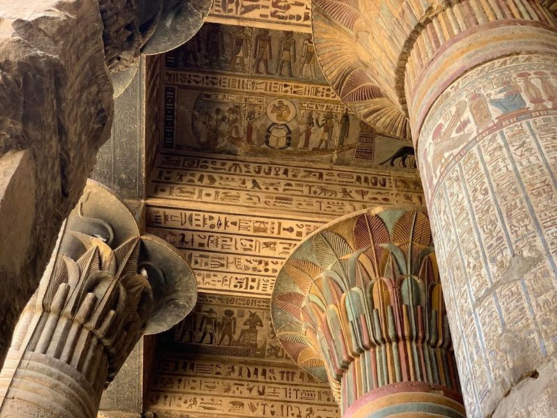 342e9de1-f375-4aaa-b983-fd2c61e97d19