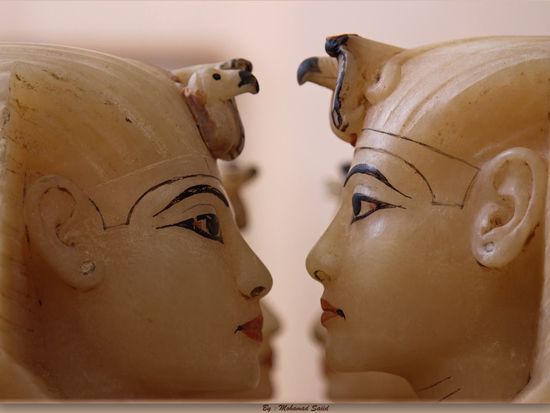 8f01d14b-2000-43ef-b2bd-515b49d2f655