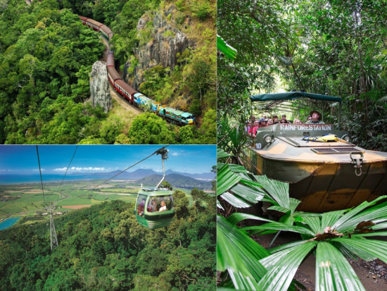 世界遺産キュランダ（鉄道＆スカイレール＆レインフォレステーション）1日観光ツアー ＜昼食付き／英語ガイド＞