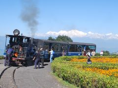 【4～10月限定】世界遺産ダージリン鉄道・ヒマラヤ展望3泊4日プライベートツアー＜日本語ガイド／インド国内線航空券・宿泊付／デリー発着＞の写真