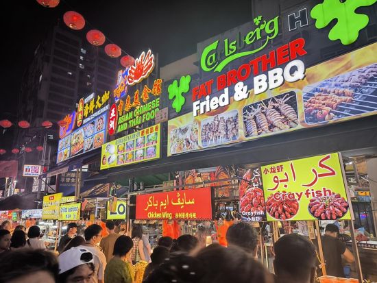 ゆったり午後発！ブルーモスク＆ピンクモスク観光ツアー　クアラルンプール2大モスクを半日で巡る ＜午後発／日本語ガイド／アロー通り解散＞