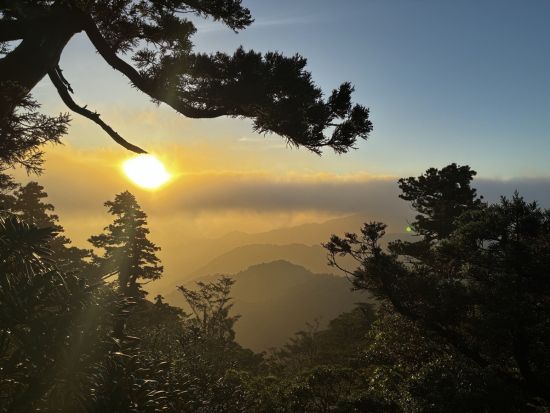 【充実の登山装備レンタル付き】屋久島 宮之浦岳～縄文杉縦走2日間ツアー 宿泊先から登山口まで送迎付き＜4～11月＞ by Yamakara屋久島