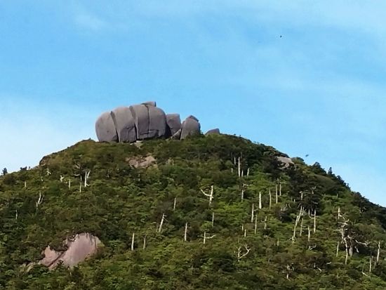 【充実の登山装備レンタル付き】屋久島 宮之浦岳日帰りトレッキングツアー 登山口送迎付き＜4～11月＞ by Yamakara屋久島