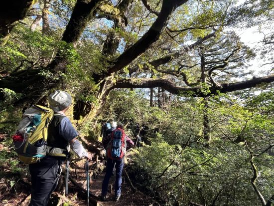 【充実の登山装備レンタル付き】屋久島 宮之浦岳日帰りトレッキングツアー 登山口送迎付き＜4～11月＞ by Yamakara屋久島