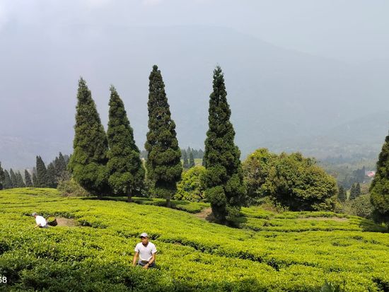 WhatsApp Image 2026-03-10 at 12.33.19 PM