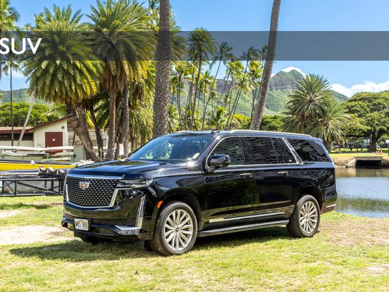 1a6accce-4a02-414b-a0e7-bd285661f568