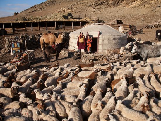 【2泊3日・5～10月限定】ノマディックショーで文化体験！テレルジ国立公園＆ウランバートル 乗馬＆遊牧民宅訪問付き ＜食事付き／日本語ガイド／ウランバートル発＞