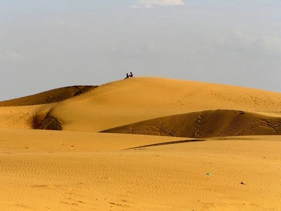 Sam%20Sand%20&%20%20Camel%20(1)